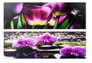 PRINTED CANVAS