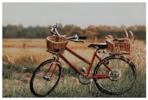 3D BICYCLE PICTURE