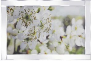 BLOSSOM