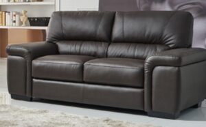 SHANIA 2 SEAT LEATHER SOFA