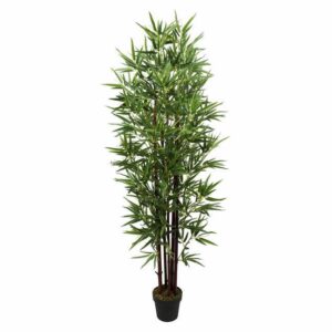 Bamboo