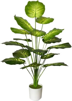 Tropical Palm